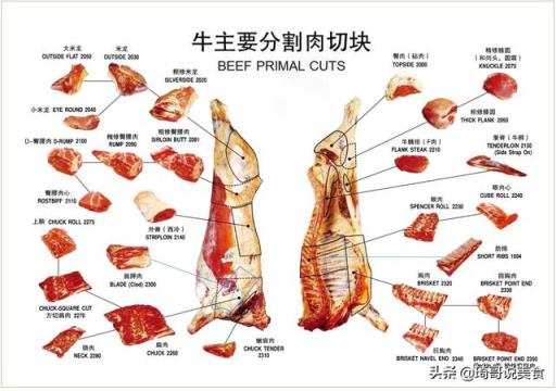 牛肉选择什么部位，才可以炖烂、不柴？为何？