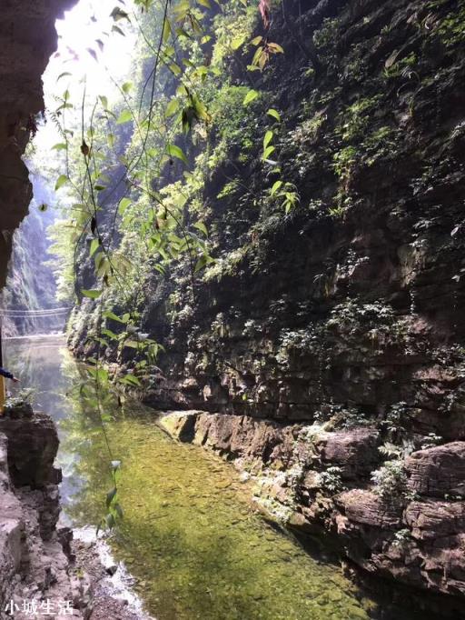 旅行是治愈抑郁症“良药”吗？