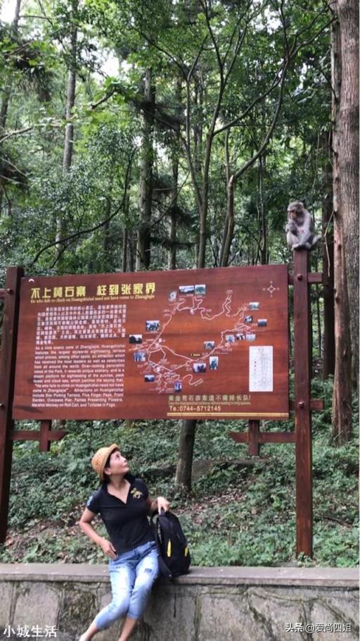 想出去旅游，没有伴，怎么办？