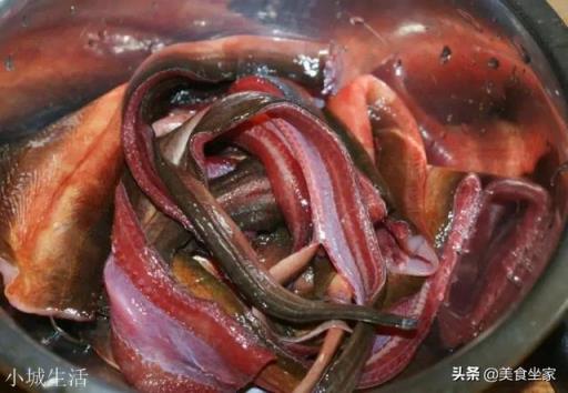 黄鳝怎么做好吃，我准备做来吃，希望大家知无不言？