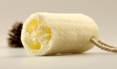 丝瓜络的功效与作用及禁忌