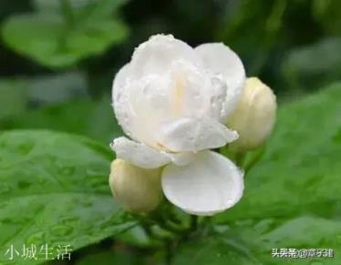 《道德经》这部书给你的启示是什么？