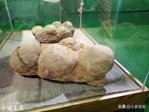如何回懟導游強制消費時說“沒錢你出來旅游干嘛”這句話？
