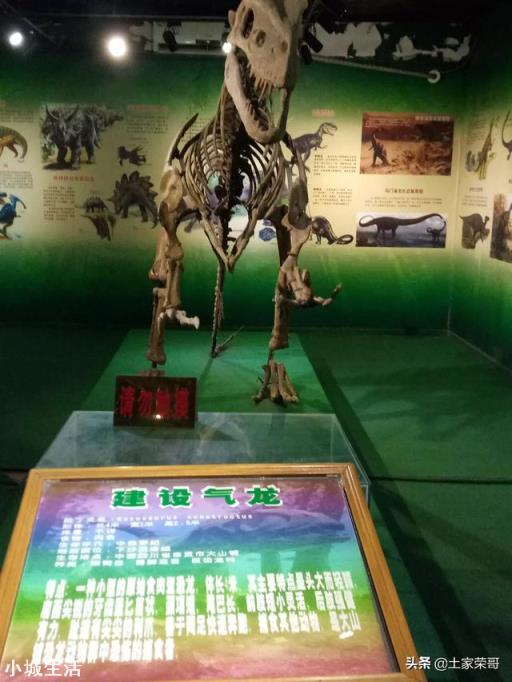 如何回懟導游強制消費時說“沒錢你出來旅游干嘛”這句話？