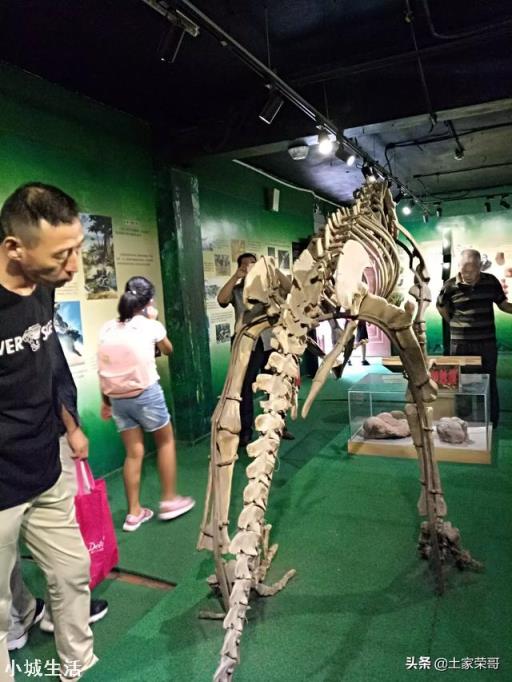 如何回懟導游強制消費時說“沒錢你出來旅游干嘛”這句話？