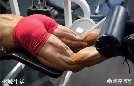 为什么有如此多的人健身不愿意练腿？