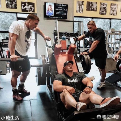 为什么有如此多的人健身不愿意练腿？