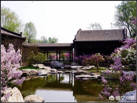 曹家大院、常家大院、乔家大院、王家大院,哪个最值得去?
