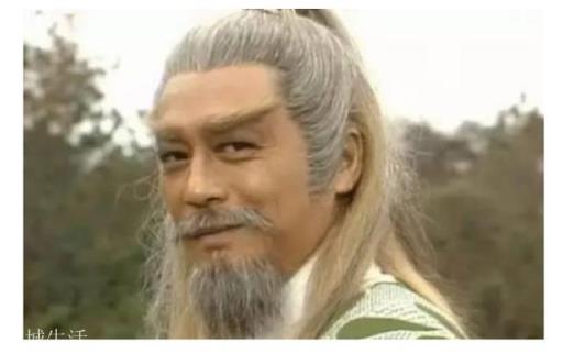 《射雕英雄传》要重拍的话，东邪、西毒、南帝、北丐分别由哪些演员演最合适？