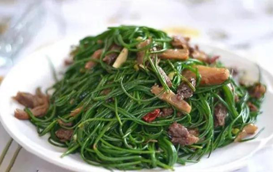 沙葱一般几月份有 沙葱可以炒猪肉是真的吗
