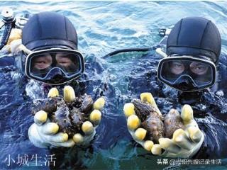 有人说吃海参的营养价值还不如吃鸡蛋，是真的吗？