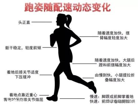 每天35min五公里，一百五十個徒手深蹲、一百個俯臥撐，對身體會不會有負擔？
