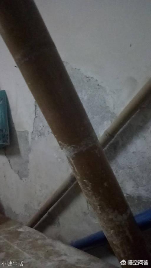 广州有什么特色的老字号美食?