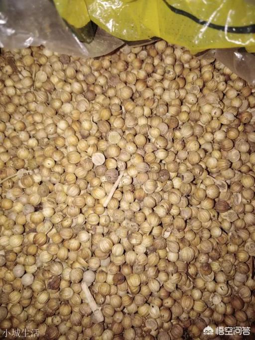 香菜籽在卤水中有什么作用？用量是多少？适合卤什么肉类？