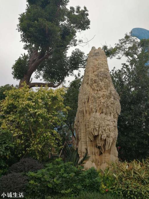 旅行中你最大的花费是在吃、住、行、还是门票?