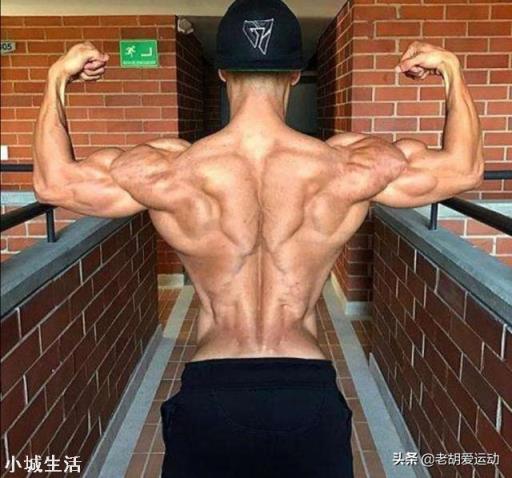 哪个动作能比较快地练出背部肌肉？