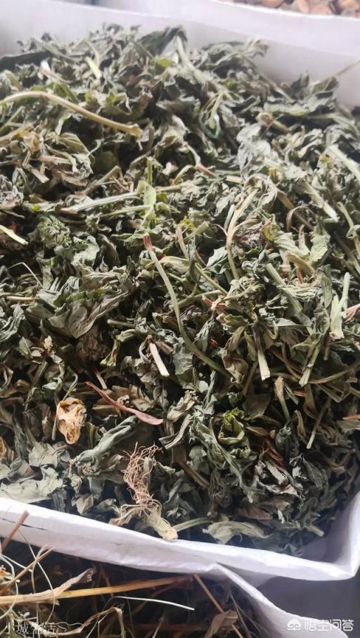 前期处理卤汤香料时,应该如何去除其中的苦涩和异味?