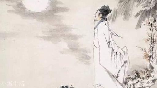 宋朝诗人辛弃疾、苏东坡、柳永、李清照四人中你最喜欢哪一个?为什么?(李煜苏轼柳永辛弃疾李清照的词作)