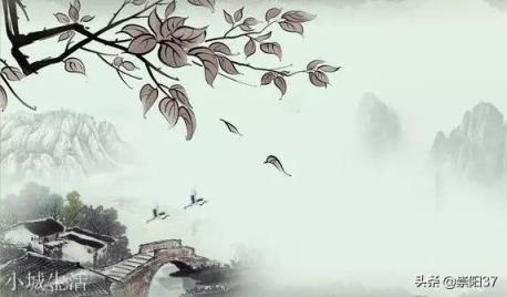 宋朝诗人辛弃疾、苏东坡、柳永、李清照四人中你最喜欢哪一个?为什么?(李煜苏轼柳永辛弃疾李清照的词作)