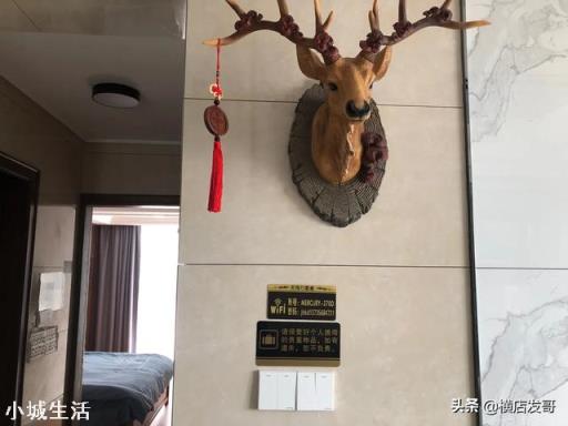 疫情过后，自驾露营类会不会替代酒店住宿旅游？