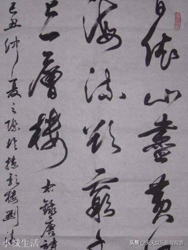 对于国民贤妻刘涛，你怎么评价？