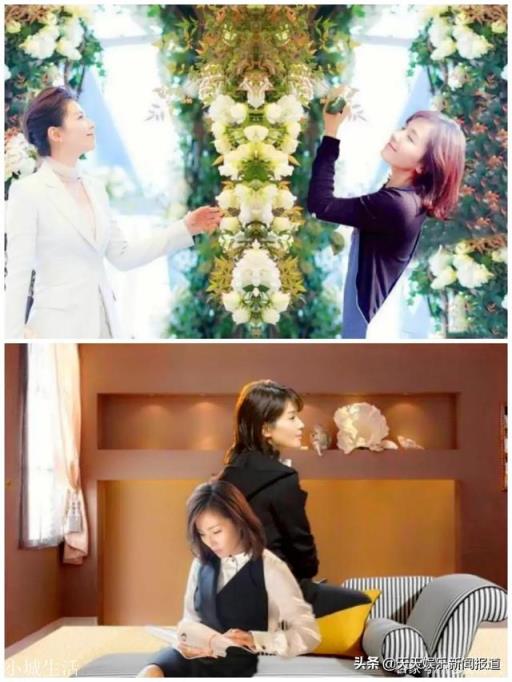 对于国民贤妻刘涛，你怎么评价？