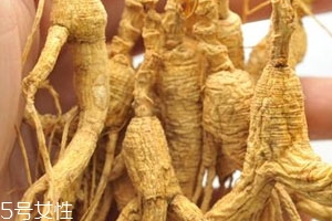 林下参什么季节吃 林下参怎么吃最好