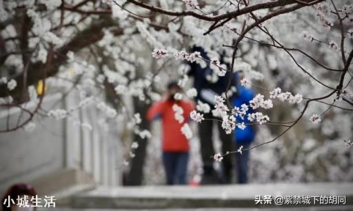今年五一的小长假能否出去玩？