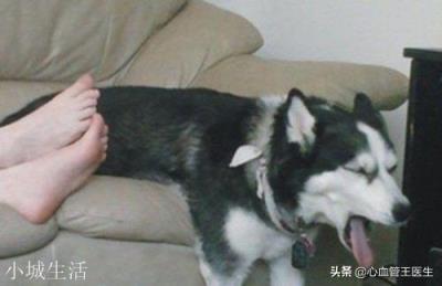 缺乏维生素B1可能会得什么病？