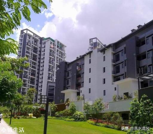 发现邻居家里不住人专门放骨灰该怎么办？