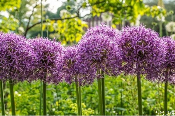 分离小三的3个作用 老公爱上了小三怎么办