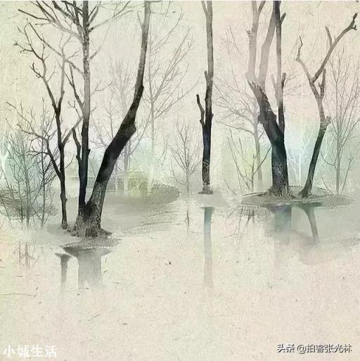 如果出游时只能带一个镜头的话，你会带哪个焦段的呢？为什么？