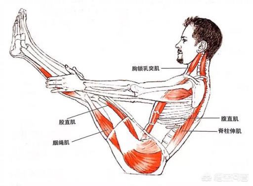 瑜伽体式—船式怎么做？注意事项是什么？