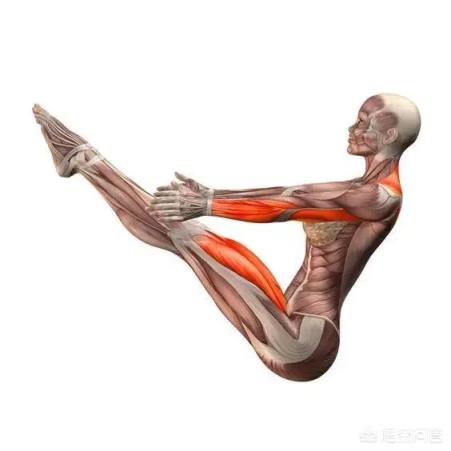 瑜伽体式—船式怎么做？注意事项是什么？