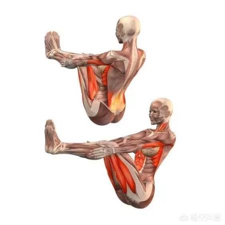 瑜伽体式—船式怎么做？注意事项是什么？