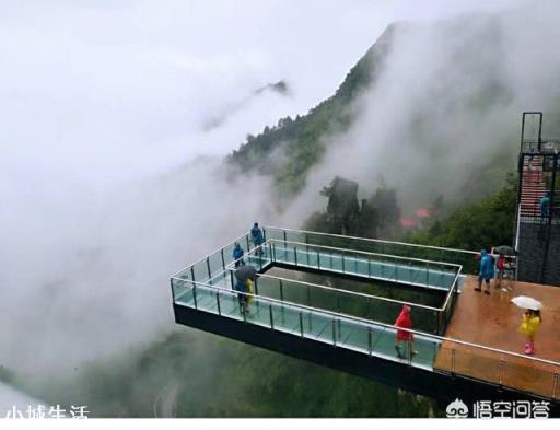 当你老了以后，你愿意整天待在家里看看书，还是出去旅游，哪个比较好？