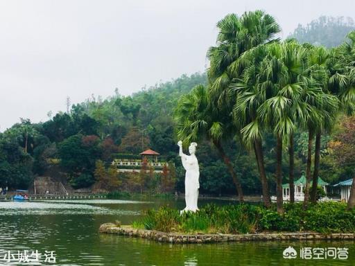 当你老了以后，你愿意整天待在家里看看书，还是出去旅游，哪个比较好？