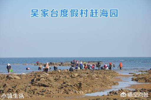 假如日照万平口海水浴场恢复免费,能带来什么经济变化?