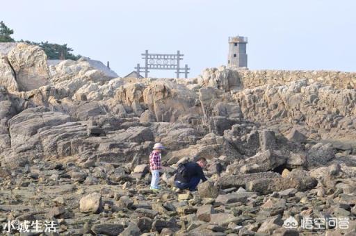 假如日照万平口海水浴场恢复免费,能带来什么经济变化?