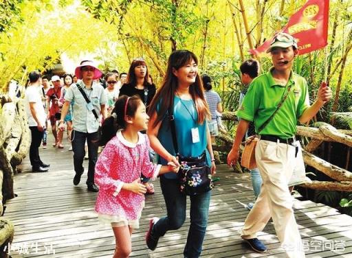 去旅游时你会选择参团旅游吗？