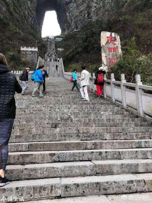 去旅游时你会选择参团旅游吗？