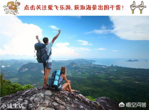 去旅游时你会选择参团旅游吗？