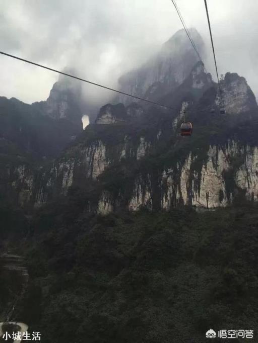 去旅游时你会选择参团旅游吗？