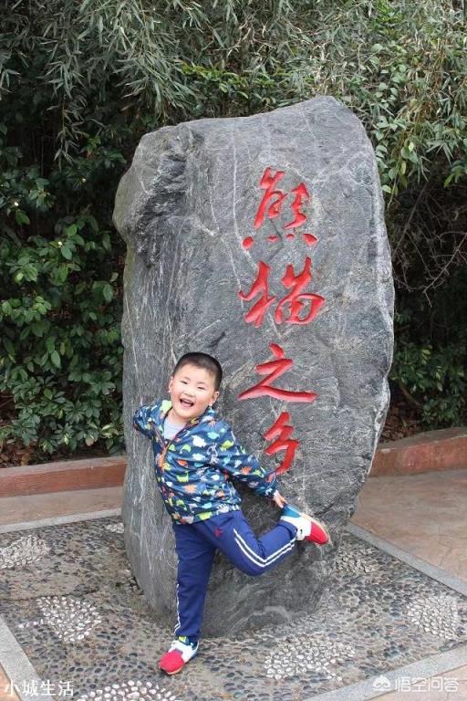 去旅游时你会选择参团旅游吗？