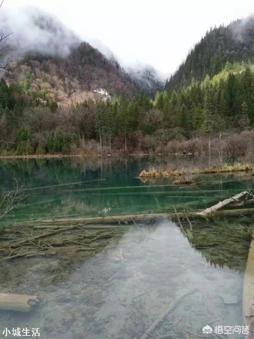去旅游时你会选择参团旅游吗？
