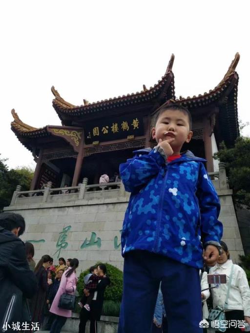 去旅游时你会选择参团旅游吗？