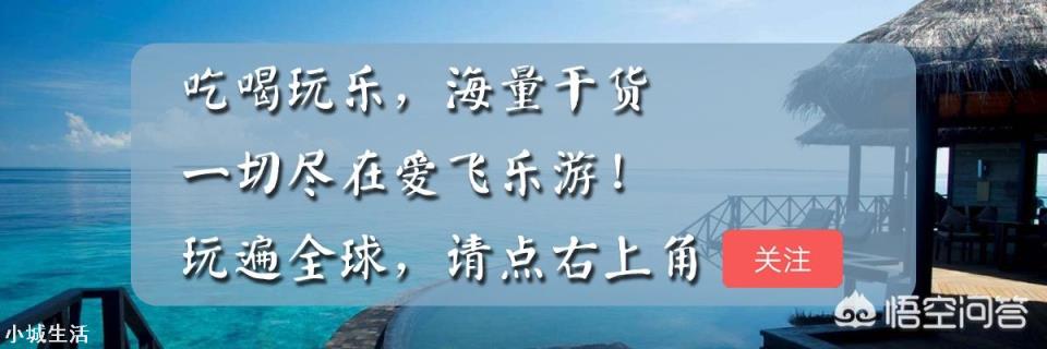 去旅游时你会选择参团旅游吗？