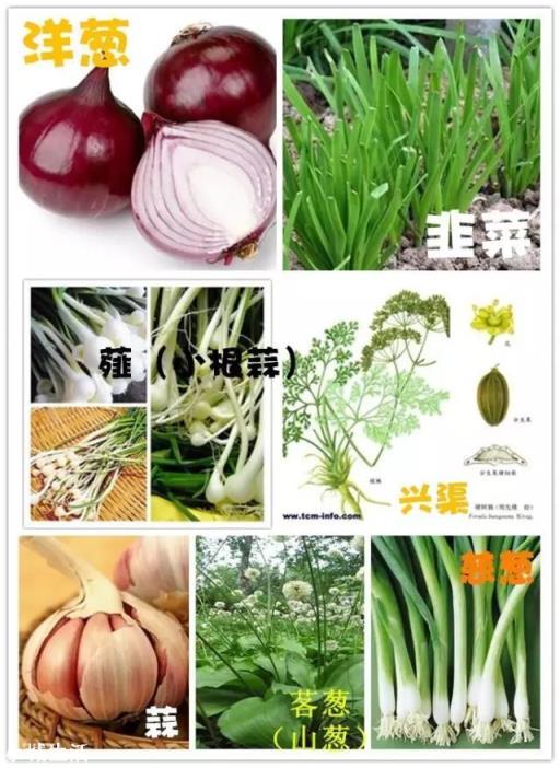 坚持不吃晚饭，一个月之后会有什么结果？