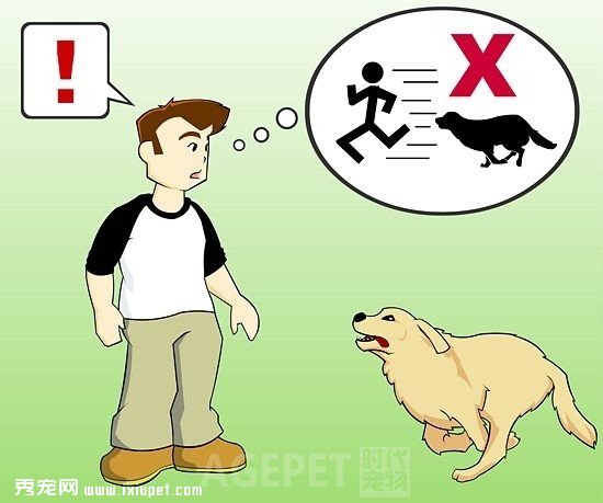 4招轻松应对追你的狗狗