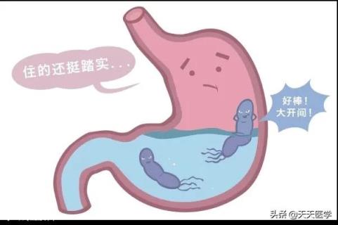 我的母亲检查出了慢性胃炎，医生说平时生活中要多注意，我想知道在平时慢性胃炎怎么调理呢？